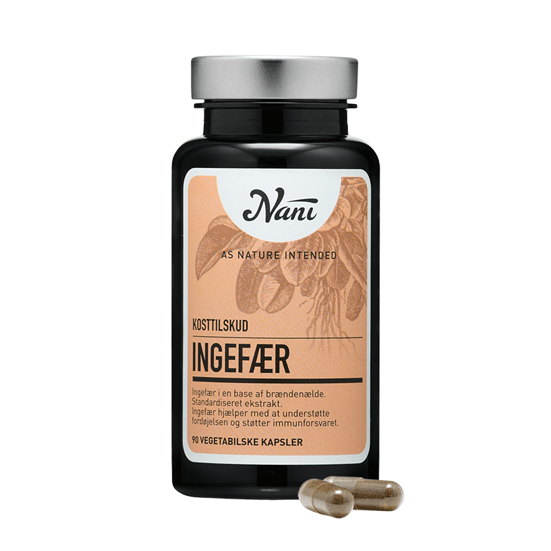 5200-Nani Ingefaer copy