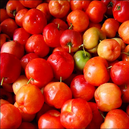Acerola
